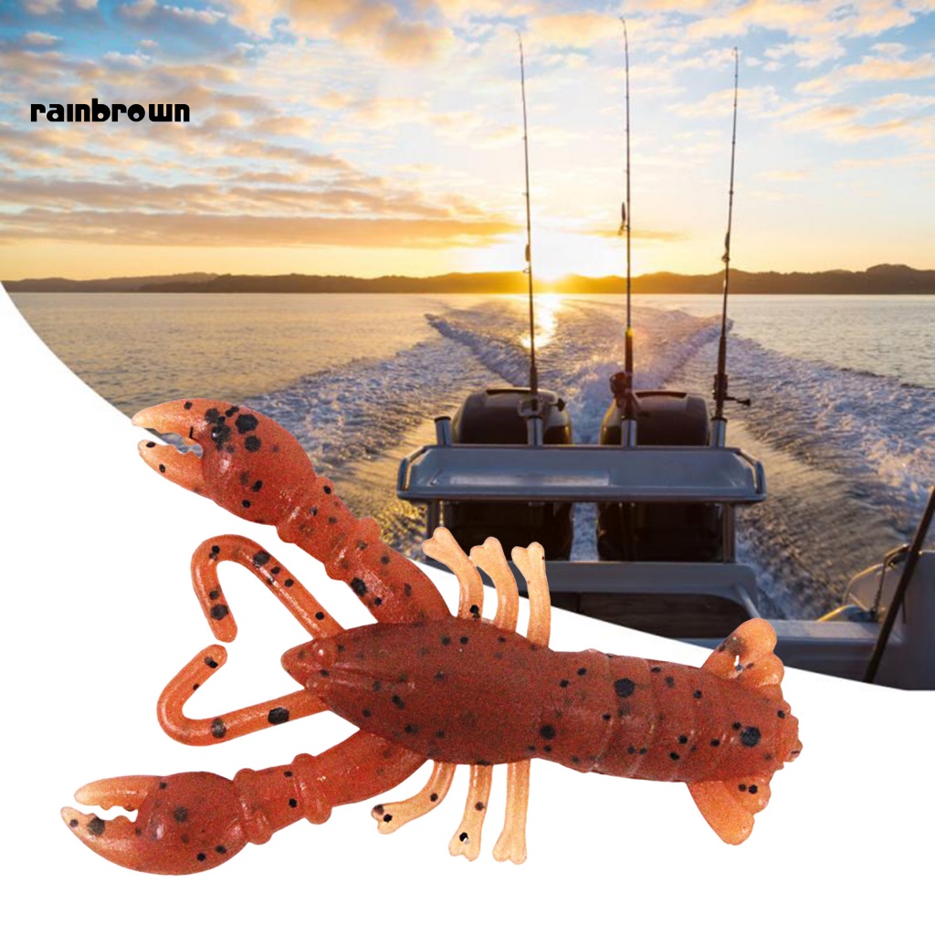 &lt; Rainbrown &gt; 10 Cái 4cm / 0