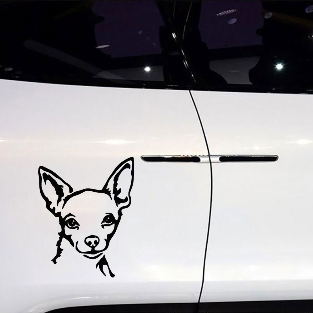 Đề Can Phản Quang Hình Chó Chihuahua Dễ Thương Trang Trí Xe Hơi / Xe Máy