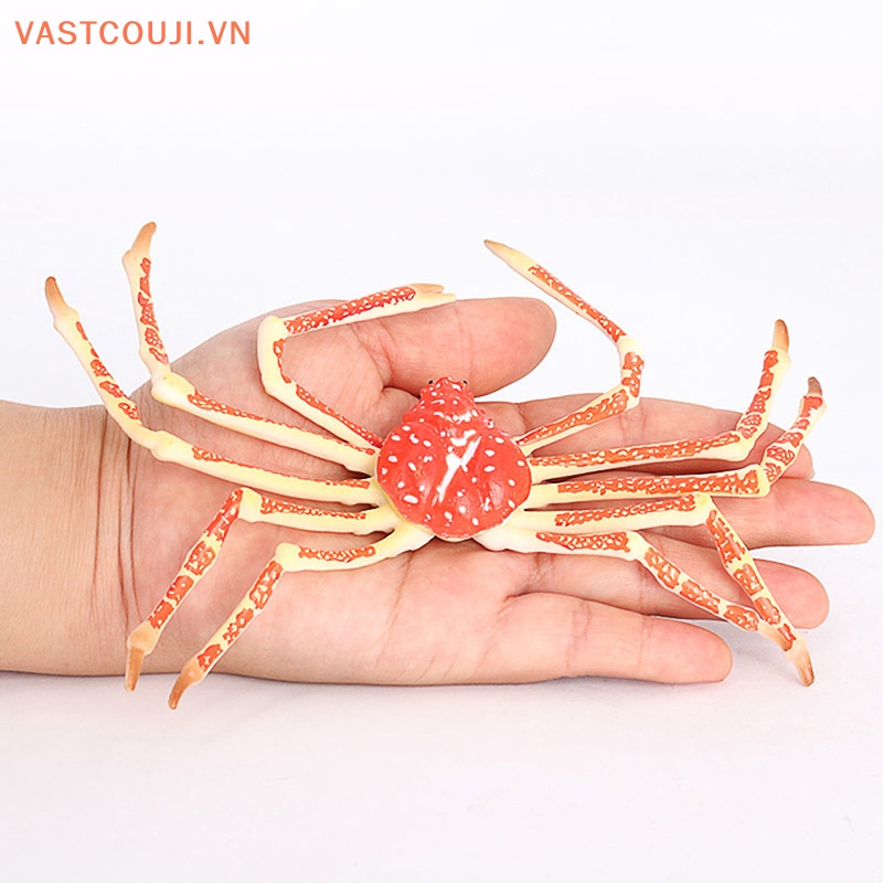 Mô Hình Đồ Chơi Chú Cua / Nhện / Động Vật Biển Dễ Thương Cho Bé