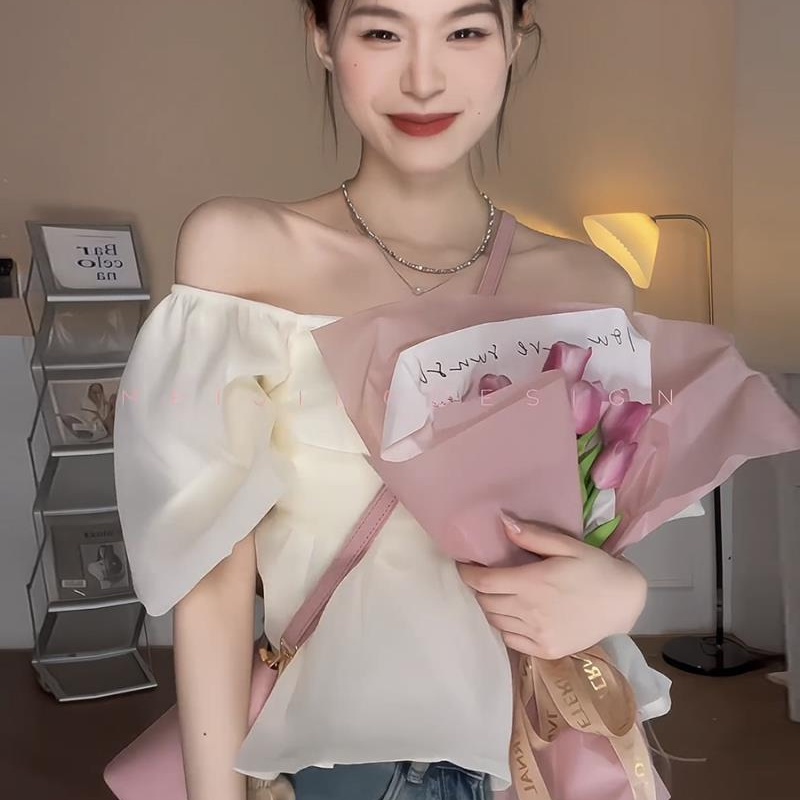 Áo Ngủ Chiffon Trễ Vai Dáng Ôm Kiểu Pháp Thời Trang Cho Nữ