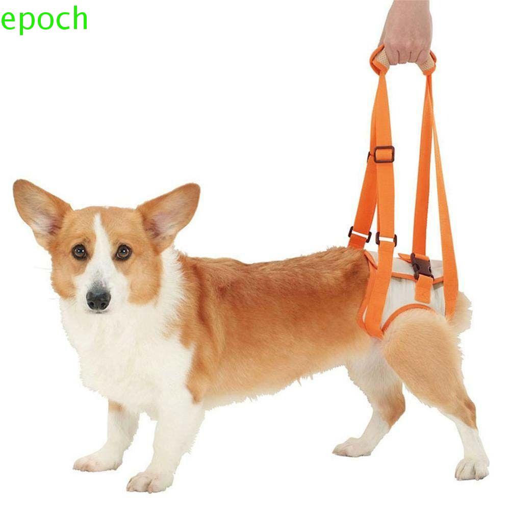 Epoch Đai Đeo Hỗ Trợ Dắt Thú Cưng Đi Dạo Kiểu Lưới Có Thể Điều Chỉnh