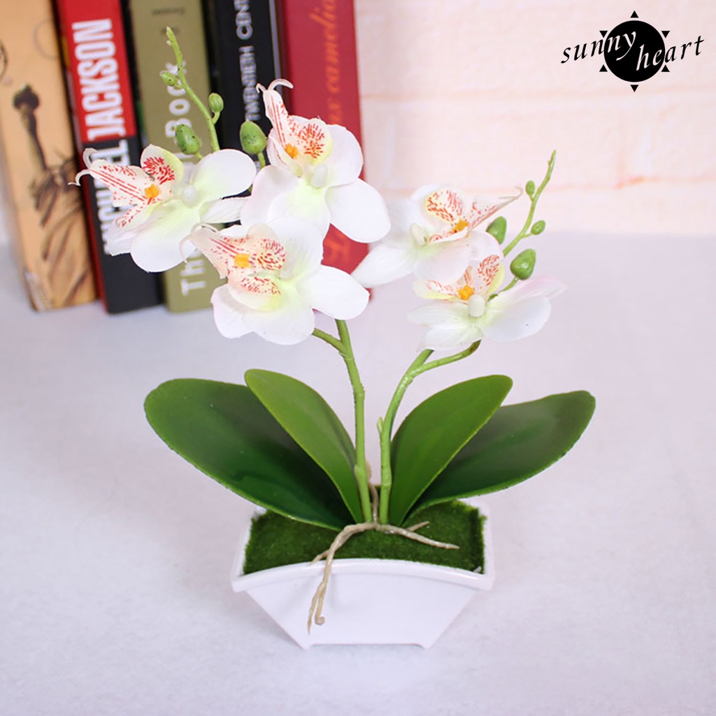 Chậu Hoa Bonsai Nhân Tạo Độc Đáo Dùng Trang Trí Tiệc