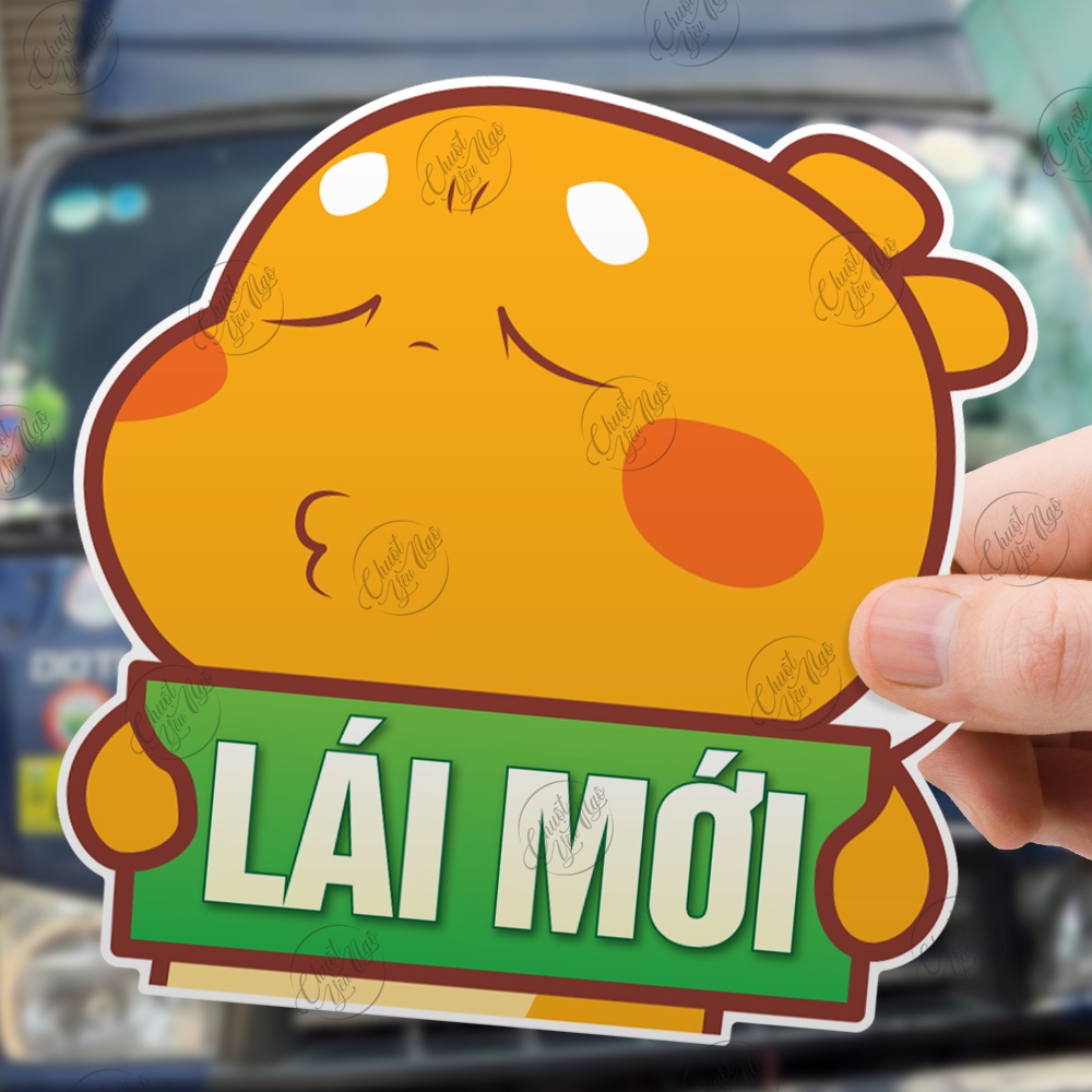 Combo 2 miếng dán Khủng Long Vàng Lái Mới lấy bằng thông cảm dễ thương trang trí xe hơi ô tô decal nhựa chống thấm nước