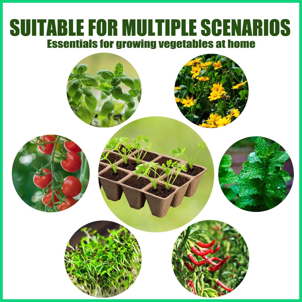 Khay Trồng Cây Mầm 12 Ngăn Mini Kèm Nắp Đậy Cho Nhà Kính jiwvn Jwvn