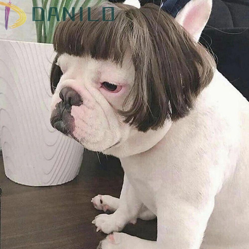 Bộ Tóc Giả Hóa Trang Đáng Yêu Cho Mèo Cưng