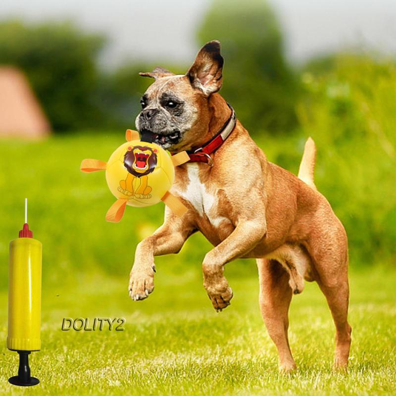 Đồ Chơi Bóng Đá Di Động Cho Cún Cưng Dolity2