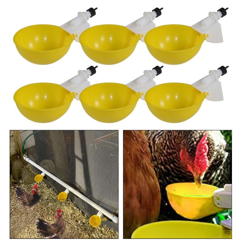 1 [Fenteer1] 6 Cốc Uống Nước Tự Động Cho Gà Vịt Thỏ