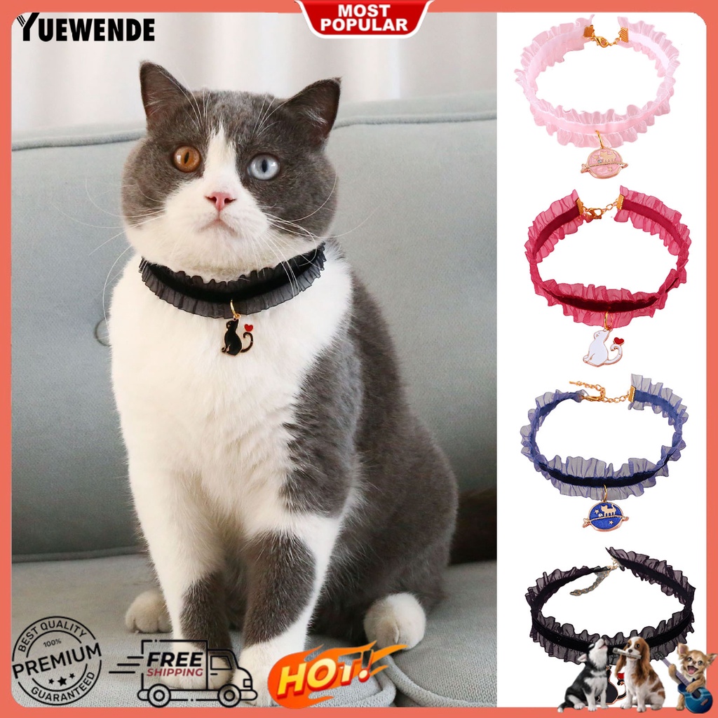Vòng Cổ Co Giãn Trang Trí Hình Ảnh Dành Cho Thú Cưng YQ.E