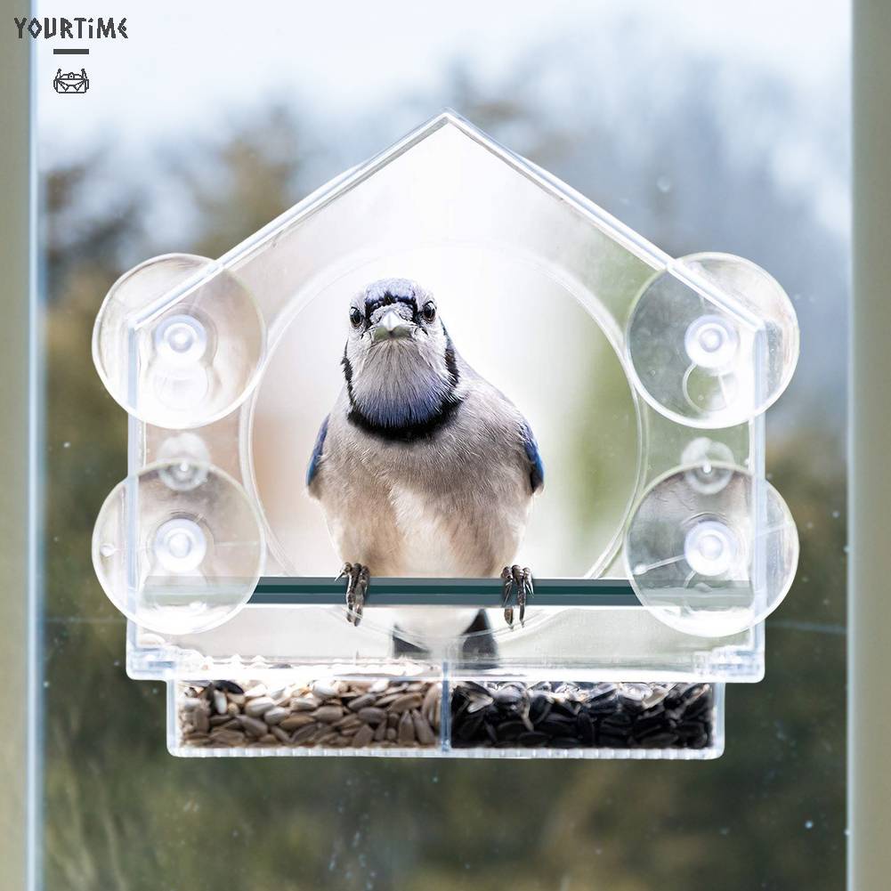 Khay Đựng Thức Ăn Cho Chim Có Thể Tháo Rời Tiện Dụng