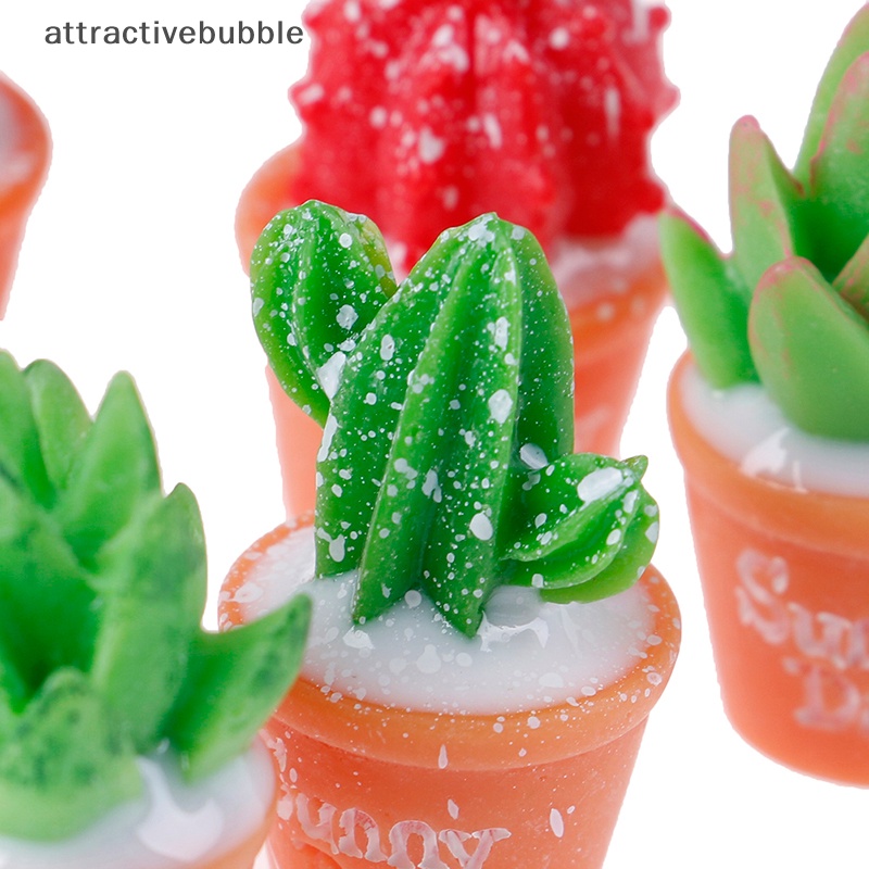 Set 5 Cây Xương Rồng Mini Trang Trí