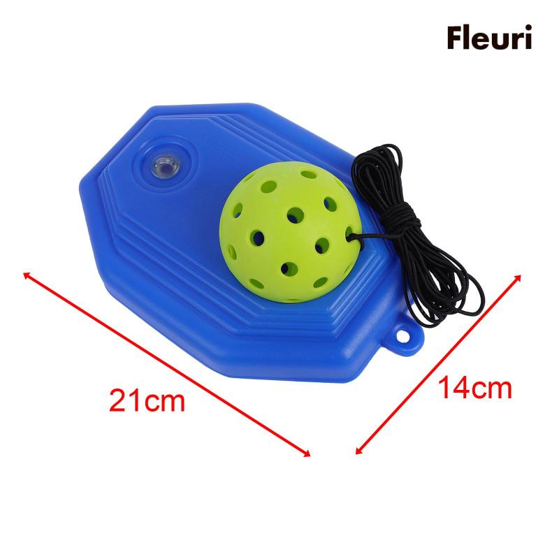 Bộ Dụng Cụ Luyện Tập Chơi Pickleball Trong Nhà Và Ngoài Trời