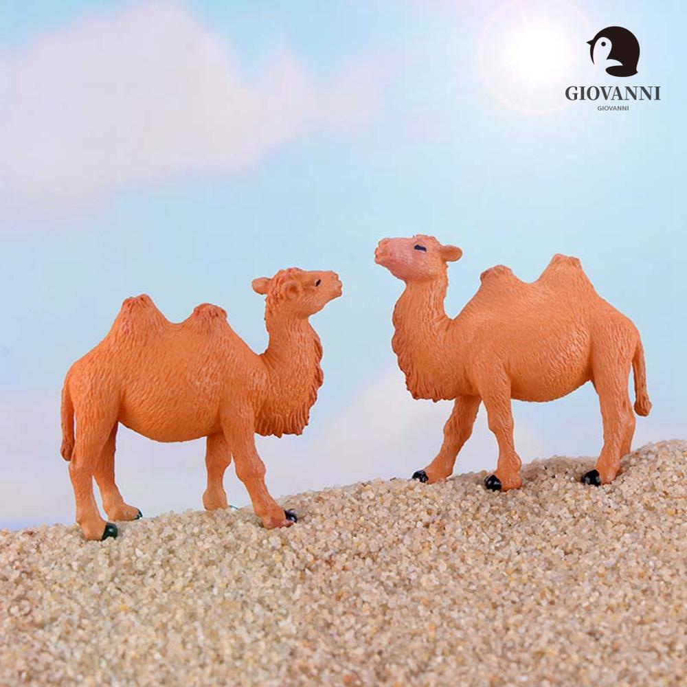 GIOVANNI Đồ trang trí Sa Mạc Bằng Kính Dùng Trang Trí Sân Vườn DIY