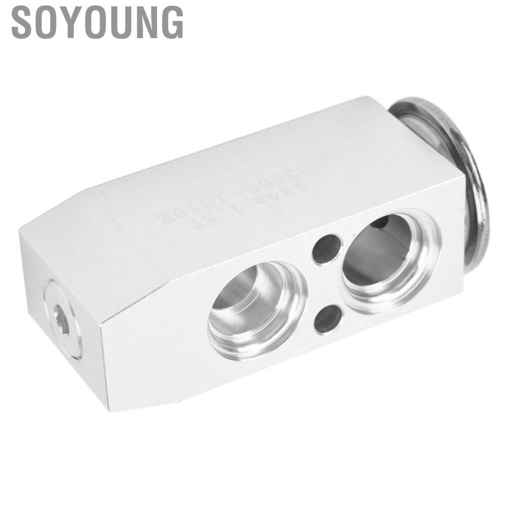 Soyoung 3411868  Reliable Lightweight High Efficiency AC Expansion Valve Front for Cars