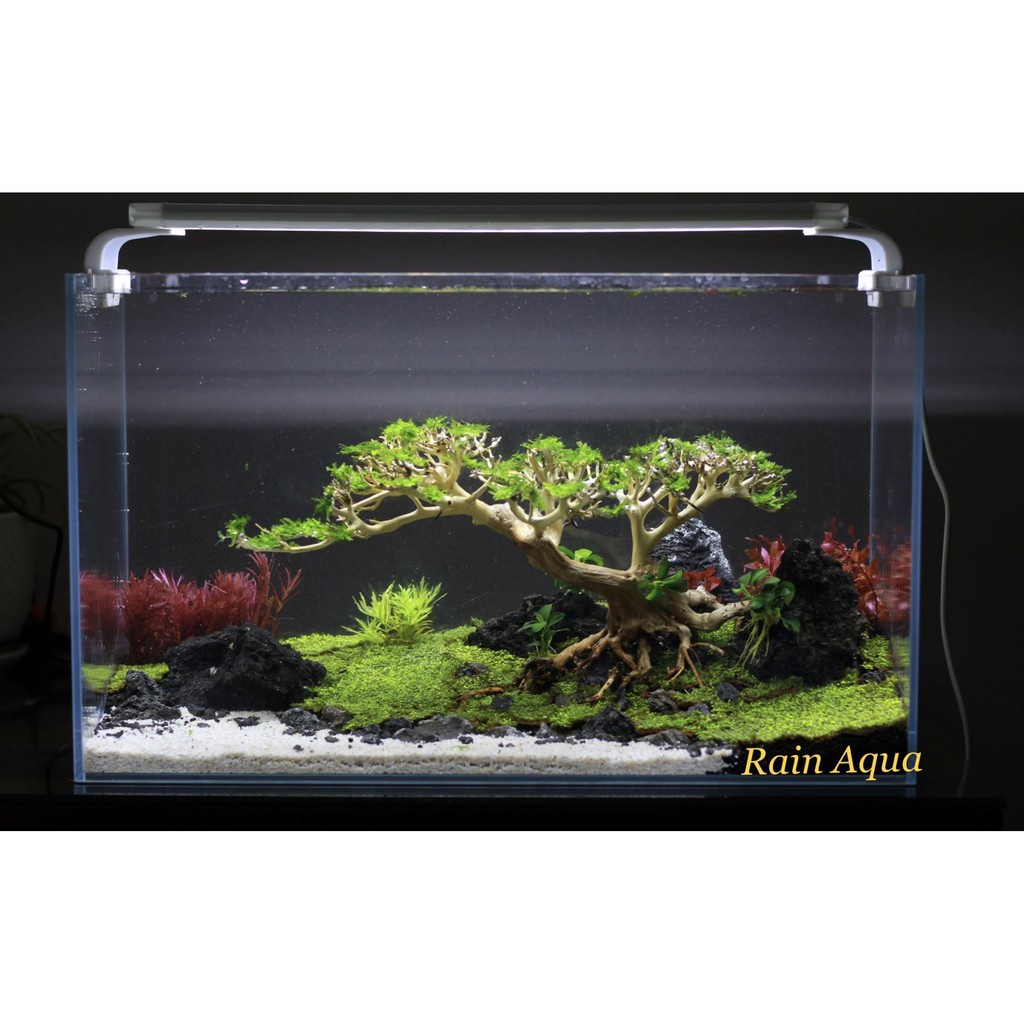 Cát Trắng Mịn. Trang Trí Bể Cá Cảnh - Bể Thủy Sinh.