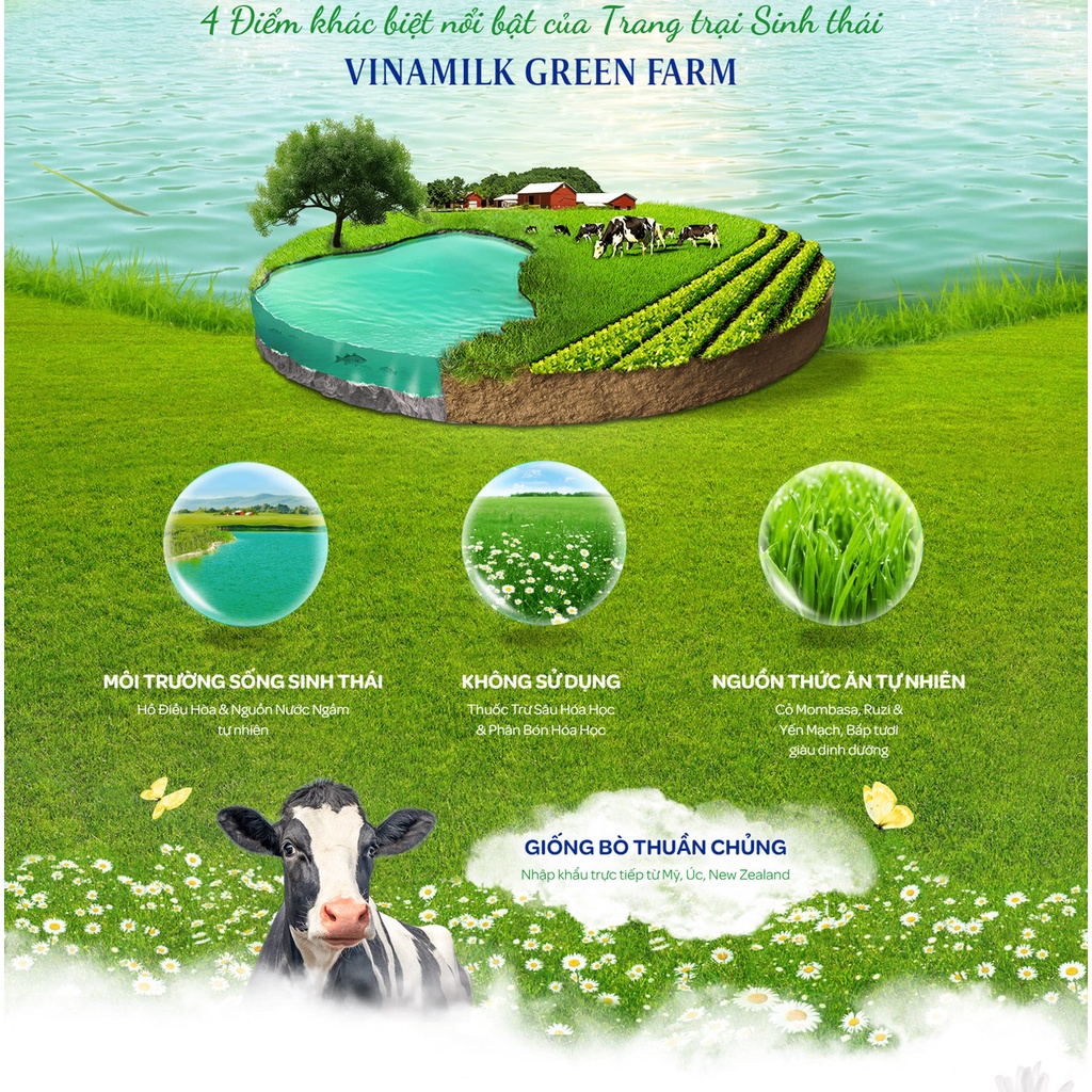 Thùng 48 Hộp Sữa Tươi Tiệt Trùng Vinamilk Green Farm có đường Hộp 180ml