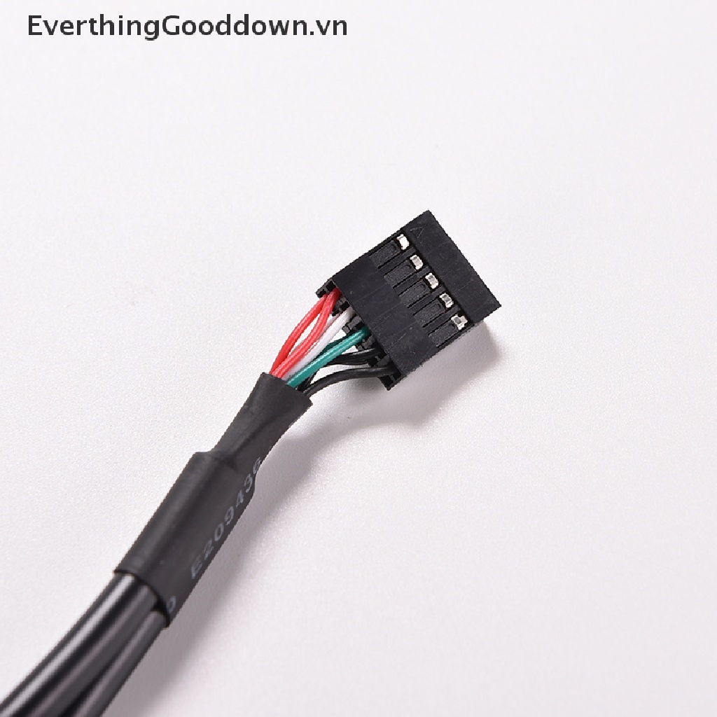 1 Cáp Chuyển Đổi Từ Giác Cắm USB A Sang Ổ Cắm 9 Pin 30cm / 1FT 2 Cổng Tiện Dụng