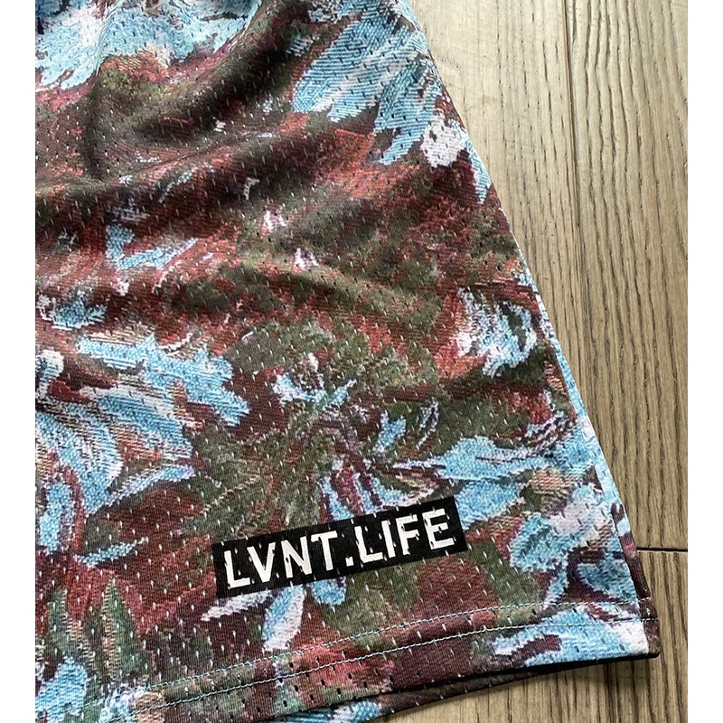 Quần Short Thể Thao Phối Lưới Thoáng Khí Nhanh Khô Thời Trang Mùa Hè Cho Nam Và Nữ