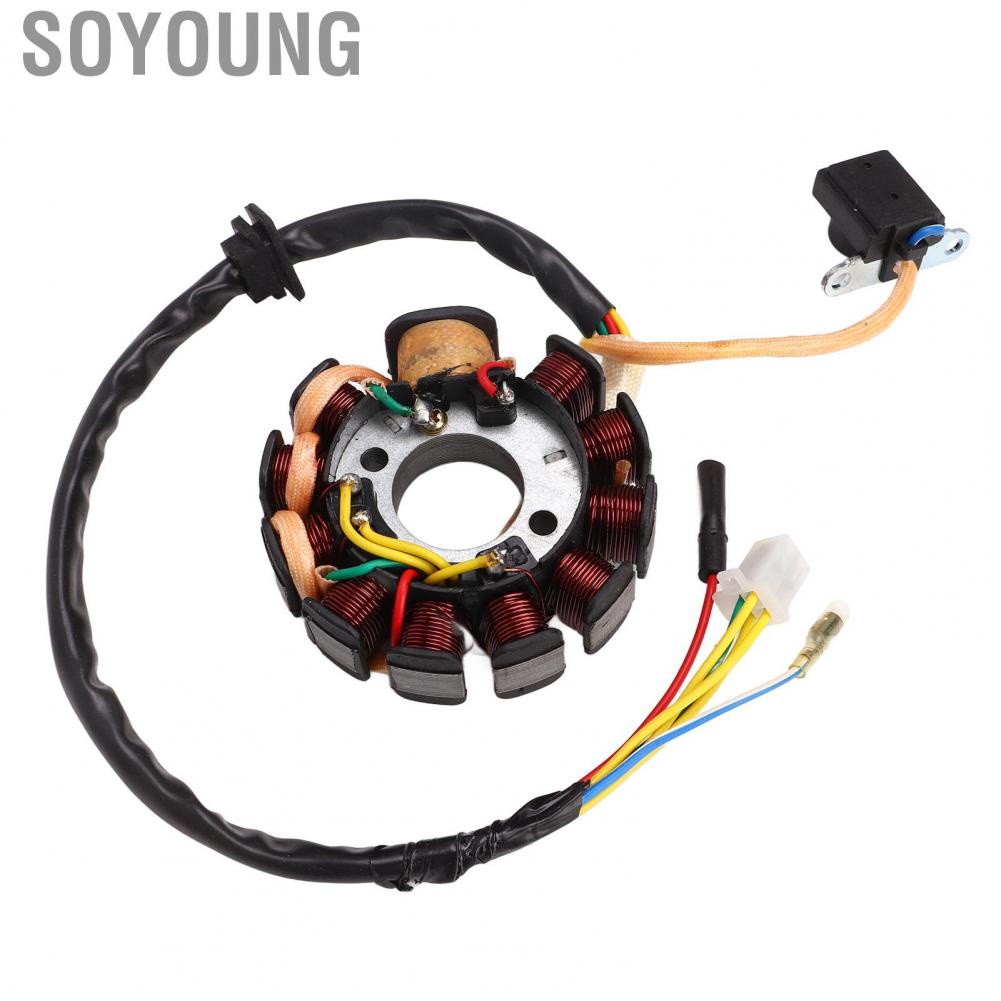 Soyoung Generator Stator Coil  High Performance Easy Installation Magneto Generator Stator Coil High Temperature Resistant 11 Coil  for Scooter