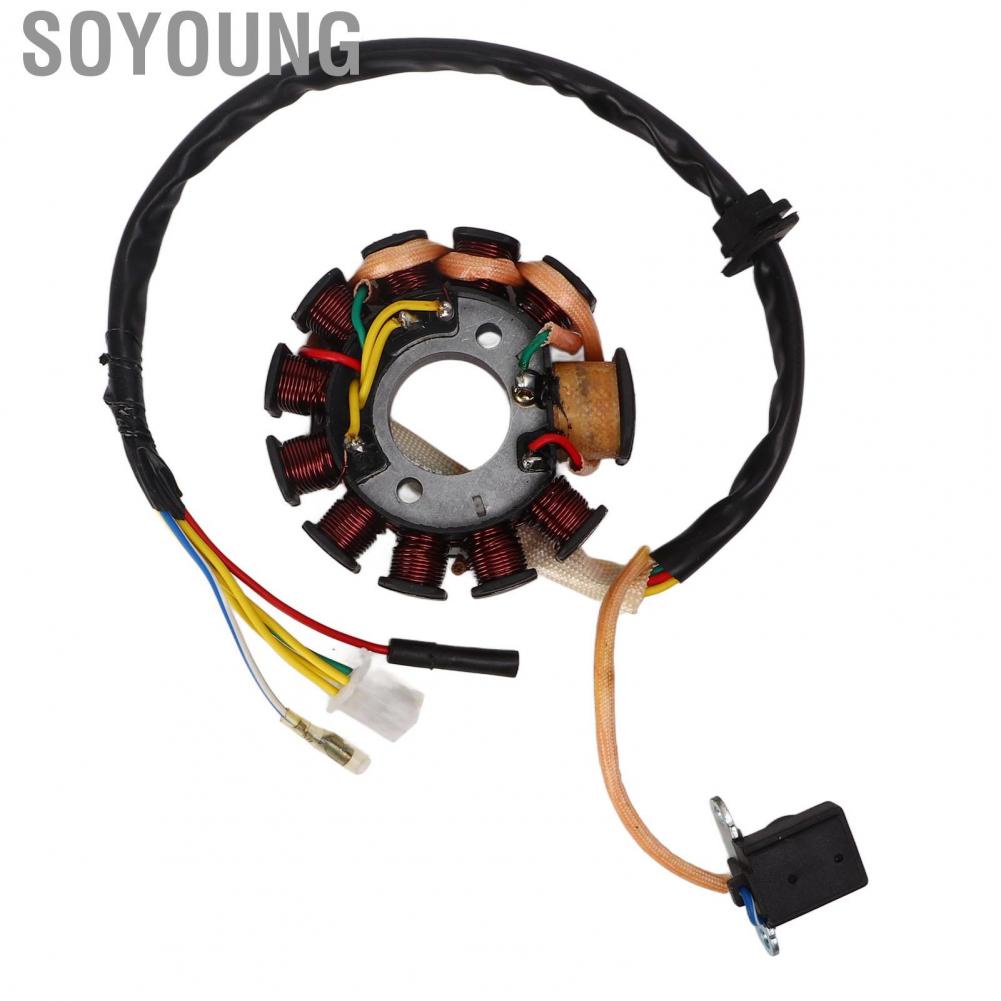 Soyoung Generator Stator Coil  High Performance Easy Installation Magneto Generator Stator Coil High Temperature Resistant 11 Coil  for Scooter