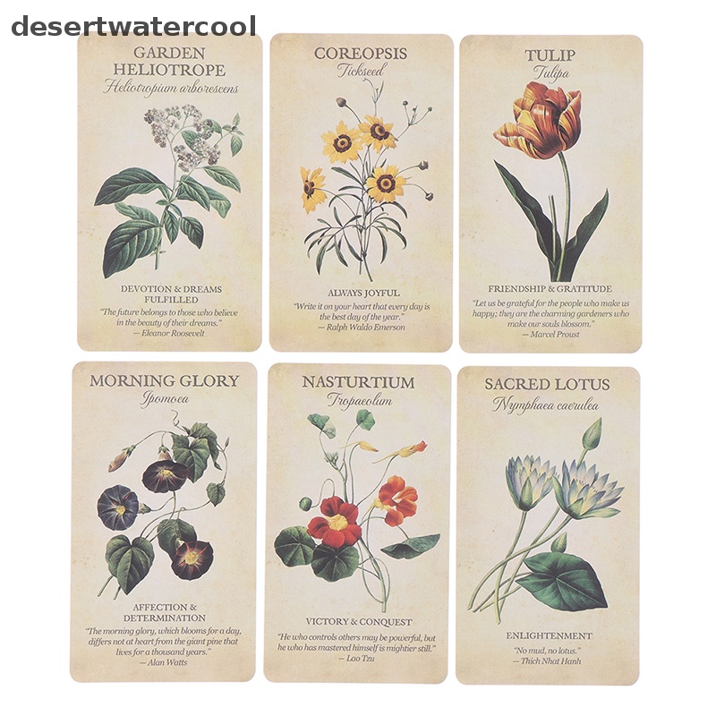 Bộ Bài Tarot Truyền Cảm Hứng Độc Đáo