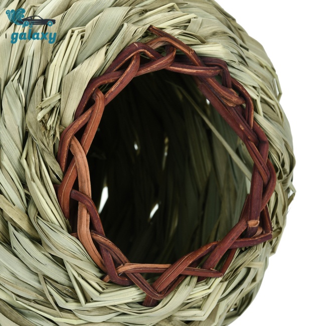 Galaxy Tổ Chim Đan Bằng Cỏ Tự Nhiên Có Dây Treo