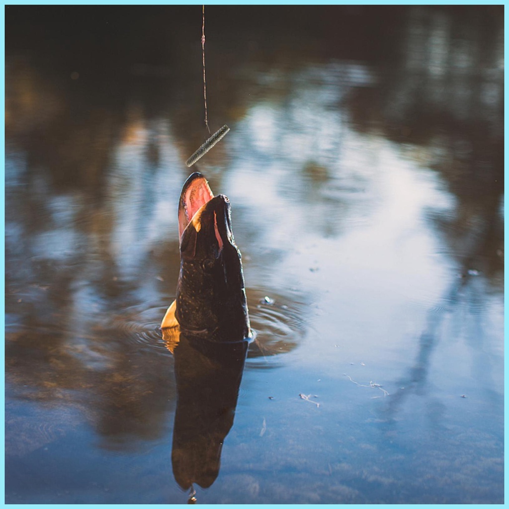 Set 8 Mồi Giả Nhử Cá Mềm 2.56in Bằng Nhựa tdevn