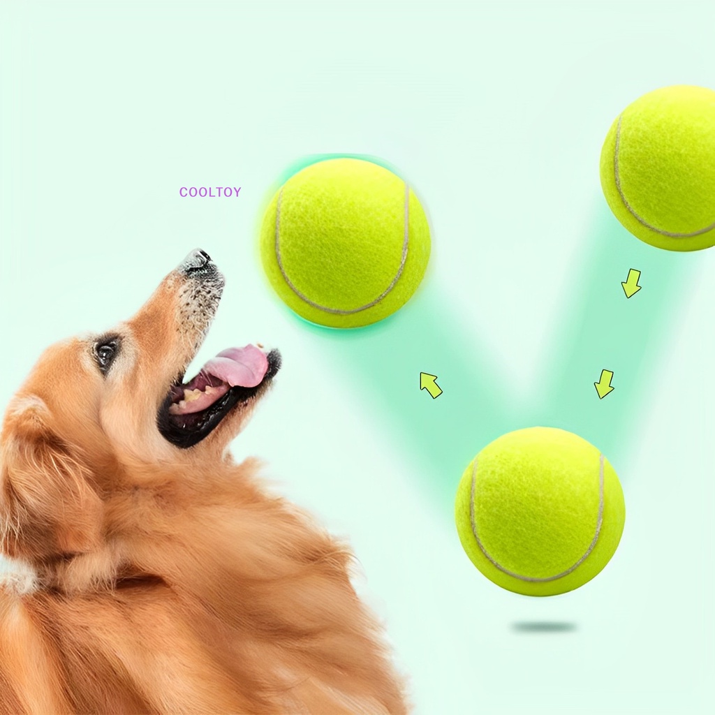 Bóng Tennis Bơm Hơi Đồ Chơi Cho Thú Cưng