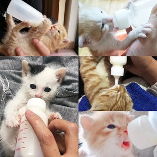 Bình Sữa Silicone 60ml Dành Cho Thú Cưng