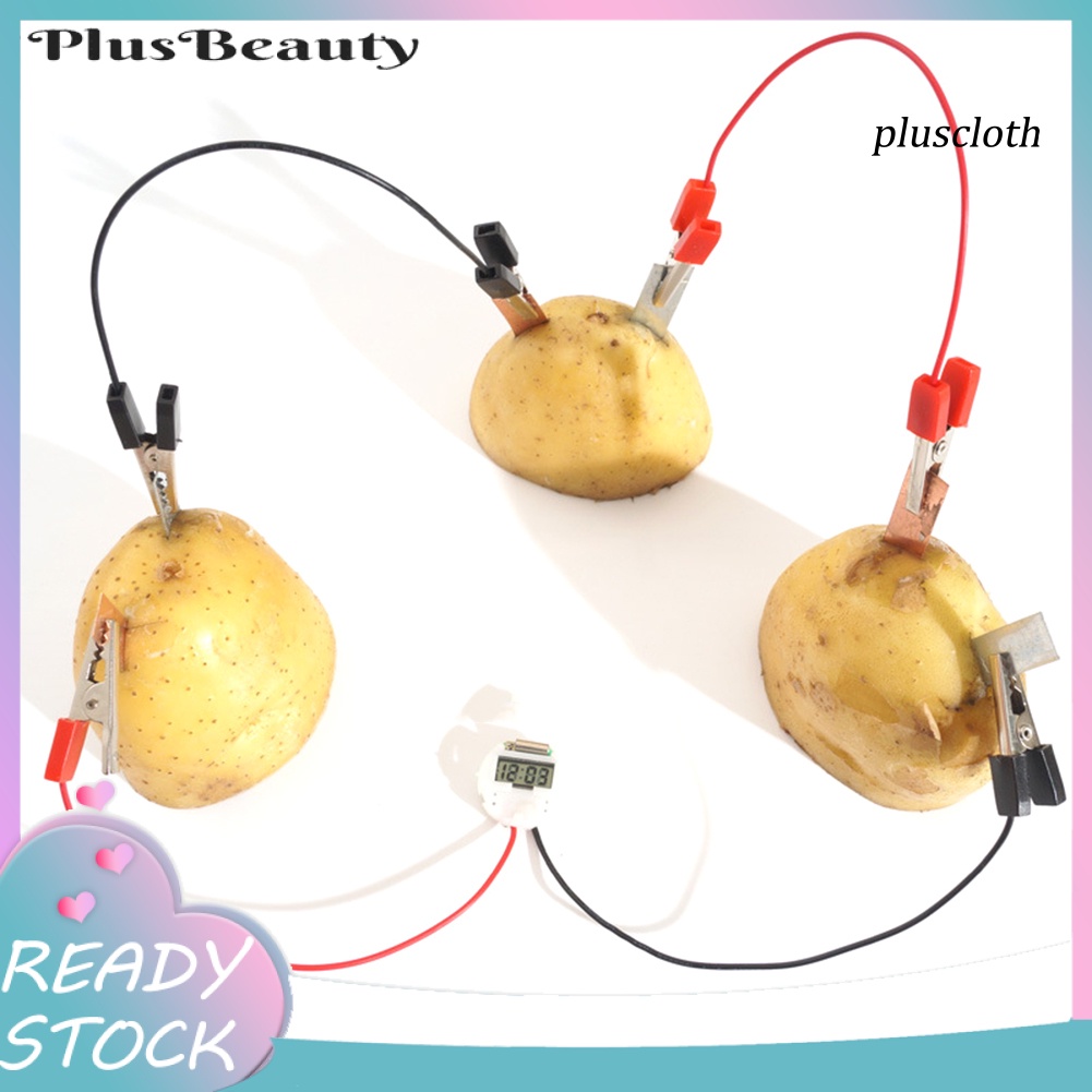 Bộ Đồ Chơi Thí Nghiệm Khoai Tây / Sinh Học Đèn Năng Lượng Mặt Trời DIY