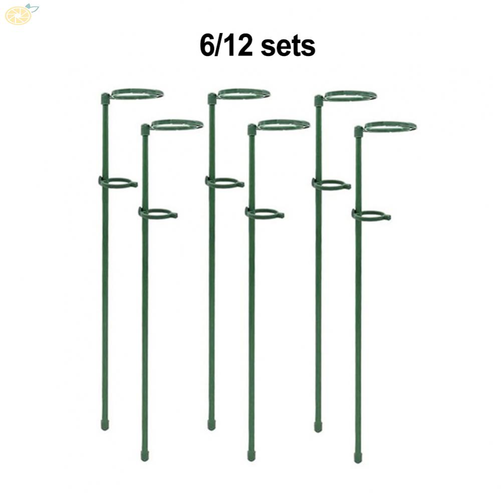 【VARSTR】Plant Stakes For Indoor Glass Fiber High Quality Plants Potted Plant Sticks