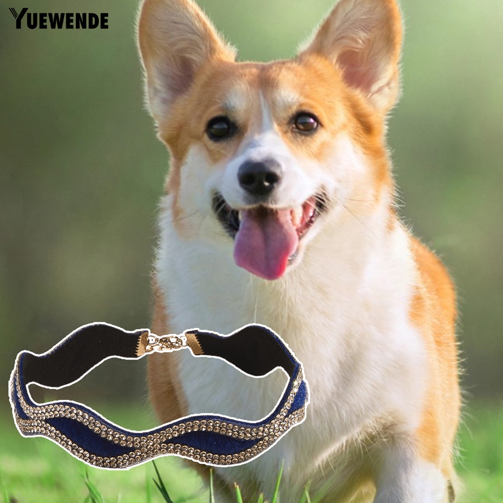 Vòng Cổ Đính Kim Cương Giả Chống Mài Mòn Cho Thú Cưng YQ.E