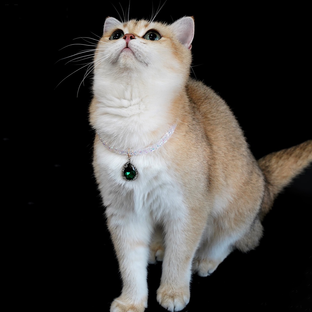 Yq.e Vòng Cổ Bắt Sáng Đính Đá Thanh Lịch Quyến Rũ Cho Thú Cưng