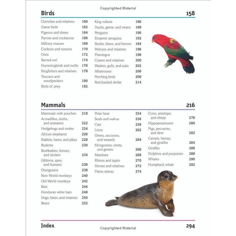 Sách The Animal Book