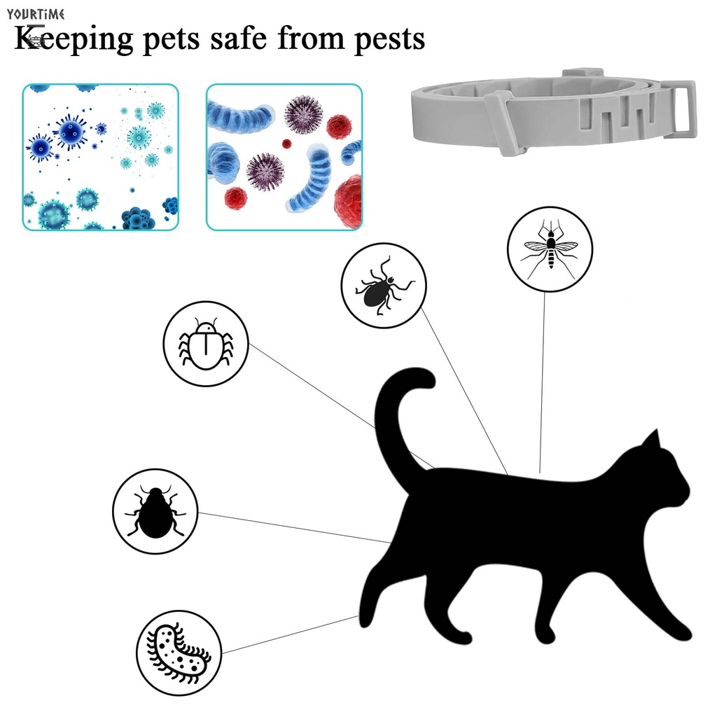 Vòng Cổ BằNg Silicone Cho Thú Cưng