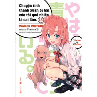 Sách - Chuyện tình thanh xuân bi hài của tôi quả nhiên là sai lầm 13
