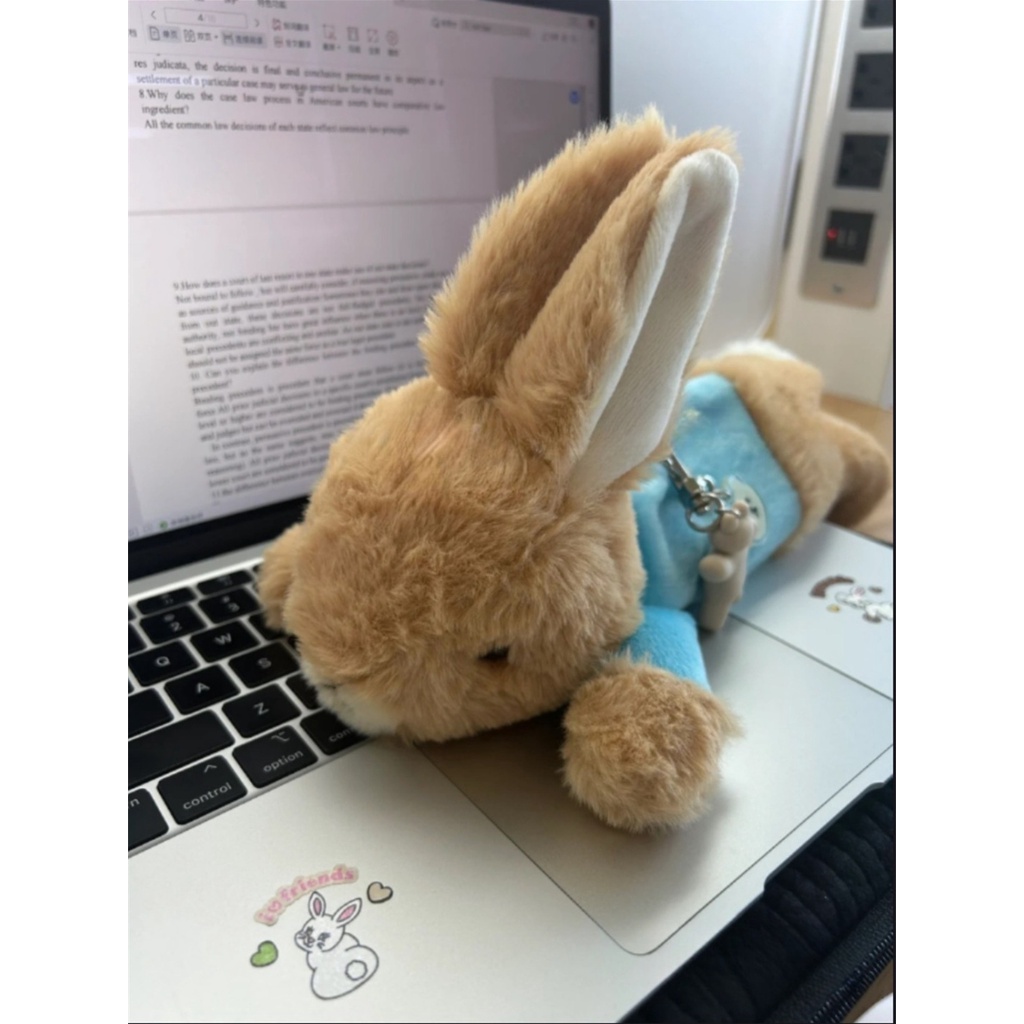 Túi Đựng Bút Hình Thỏ Peter Dễ Thương Kỉ Niệm 120 Năm