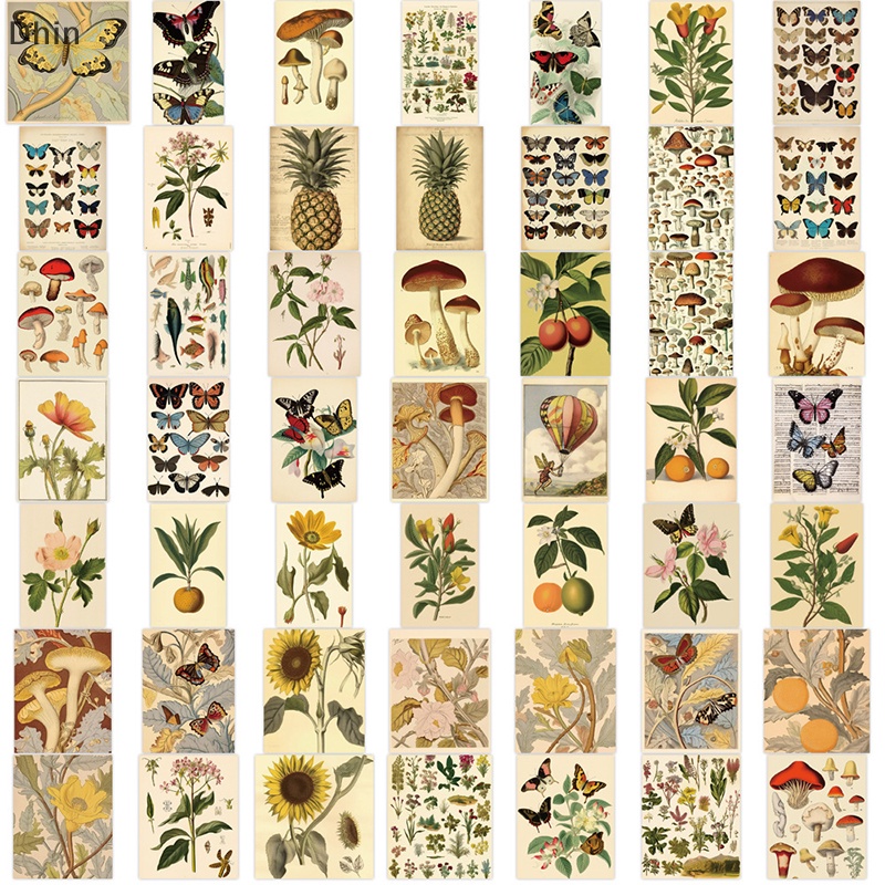 Bộ 50 Miếng Dán Laptop Họa Tiết Trái Cây Hoạt Hình Graffiti Đơn Giản