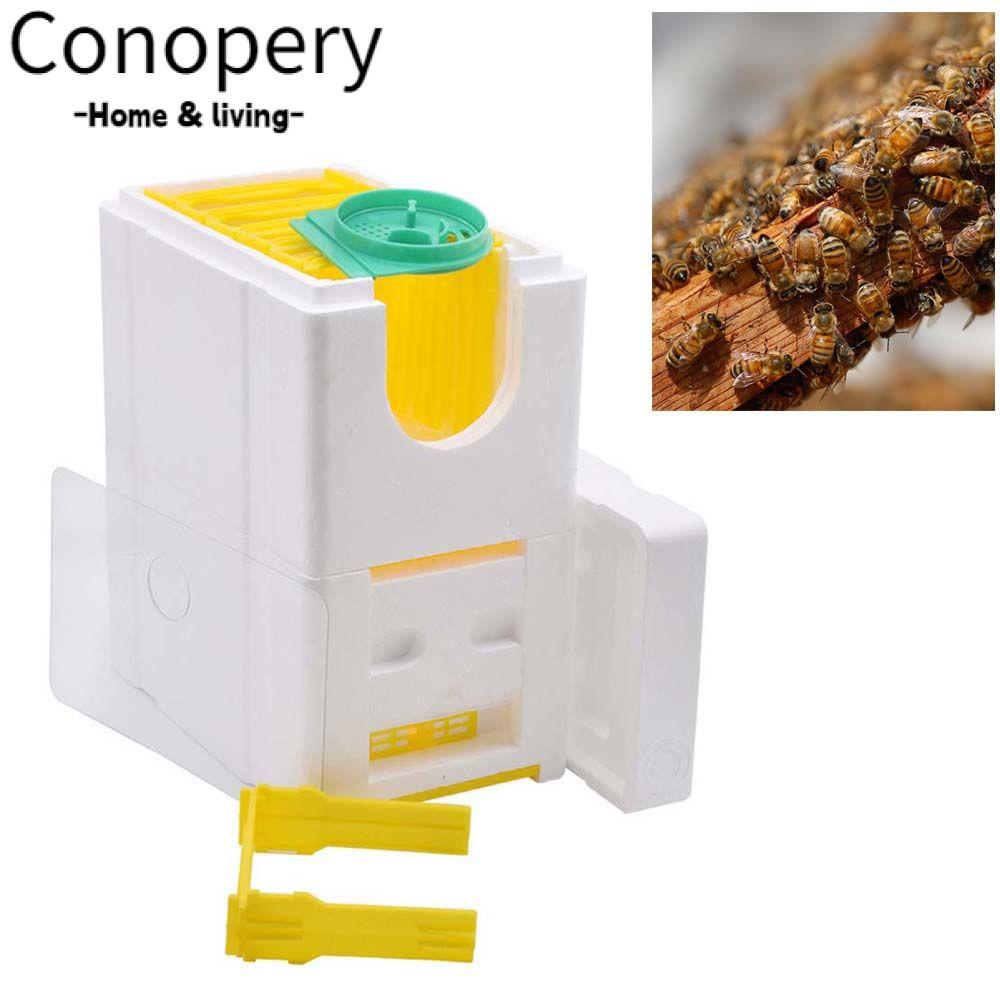 CONOPERY Hộp Nuôi Ong Chúa Mini Tiện Lợi