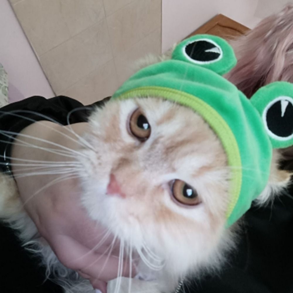 GIOVANNI Nón Đội Bằng Vải Bông Mềm Mại Thoáng Khí Hình Cua / Động Vật Dành Cho Thú Cưng