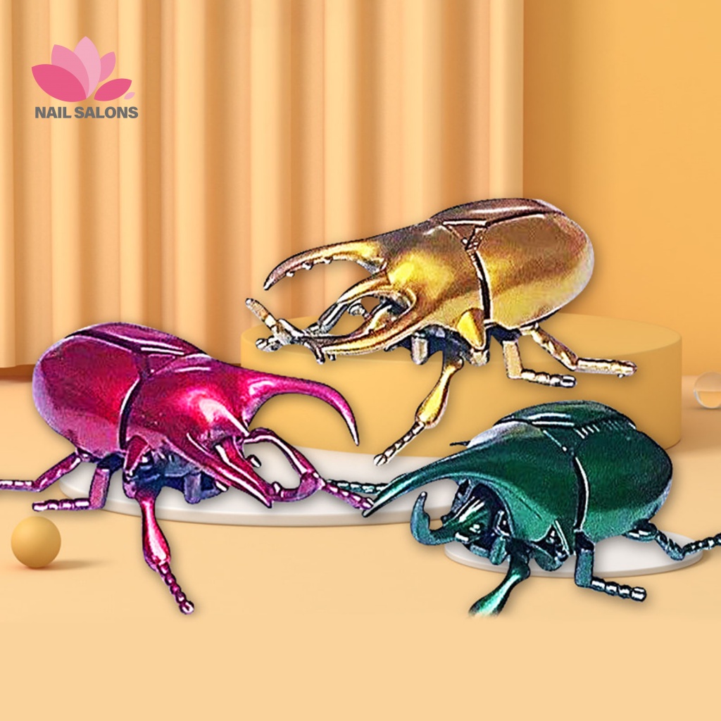 Đồ Chơi Mô Hình Bọ Cánh Cứng Mini Có Thể Di Chuyển Cho Bé