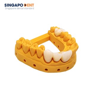 Nhựa in Resin răng tạm 3D Jamghe