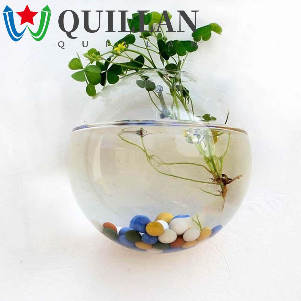 Bình treo tường quillan, chậu hoa thủy tinh trong suốt, cây thủy canh dày bán tròn bền người giữ cây hoa