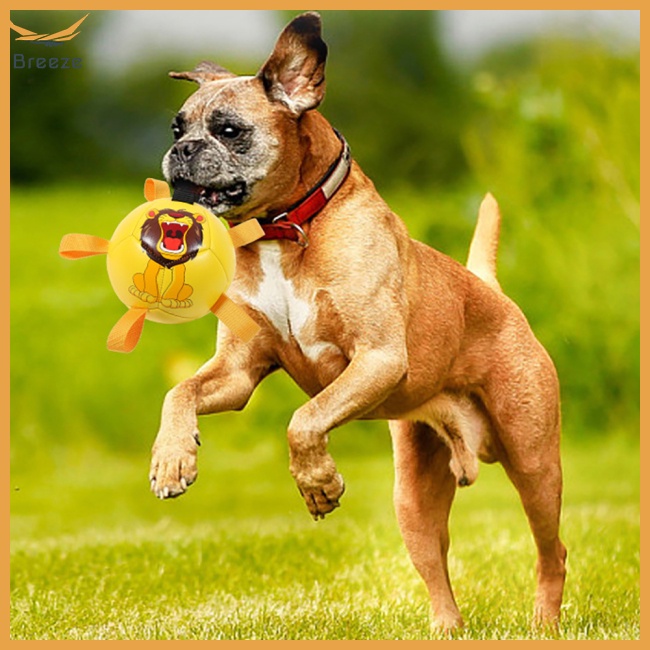 Bóng Đá Đồ Chơi Đa Năng Dành Cho Chó Cỡ Nhỏ / Vừa / Lớn