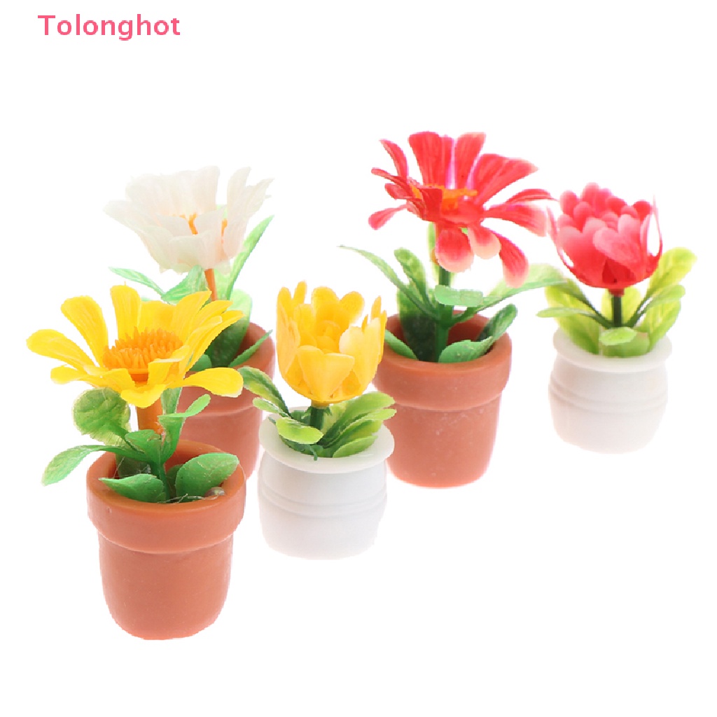 Bộ 5 Chậu Cây Mini Tỉ Lệ 1: 12 Dùng Trang Trí Nhà Búp Bê
