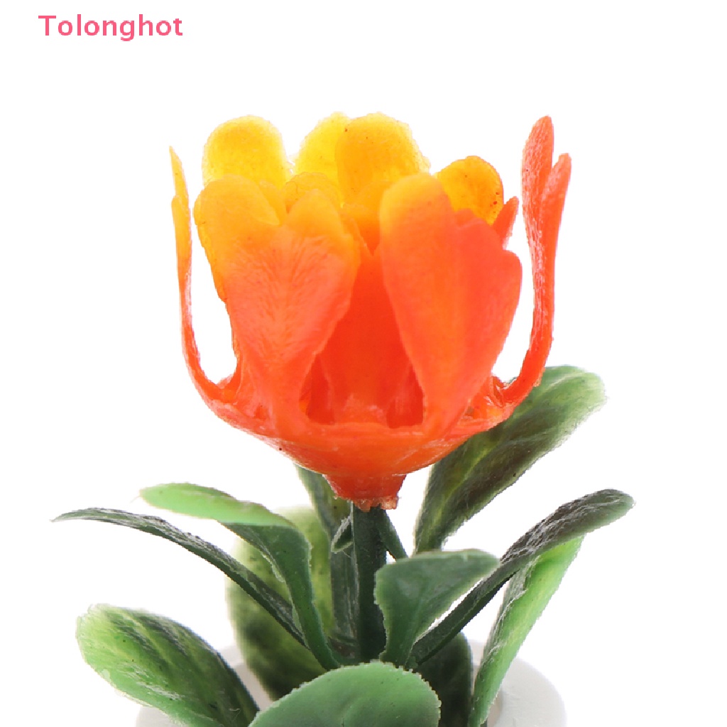 Bộ 5 Chậu Cây Mini Tỉ Lệ 1: 12 Dùng Trang Trí Nhà Búp Bê