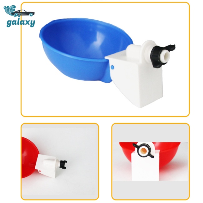 Galaxy Cốc Uống Nước Tự Động Cho Gà / Chim Bồ Câu