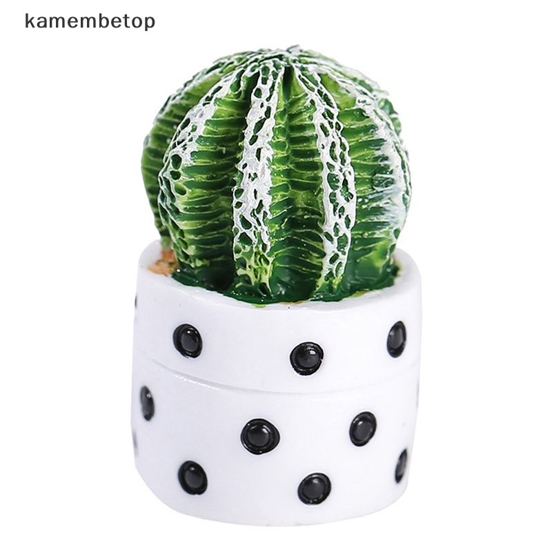 1 / 4 Chậu Cây Mini Tỉ Lệ 1: 12 Trang Trí Tiểu Cảnh