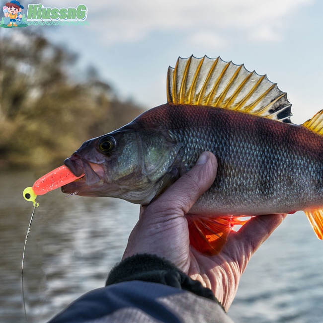 Hộp 40 Mồi Câu Cá 5 Ngăn Trong Suốt Siêu Nhẹ Chống Thấm Nước