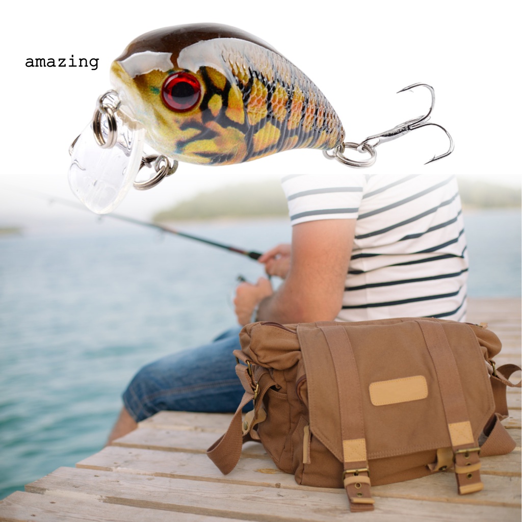 Mồi Câu Cá 6.5g Bằng Chất Liệu Cứng Màu Sắc Tươi Sáng Trọng Lượng Nhẹ Có Thể Di Chuyển Tiện Dụng