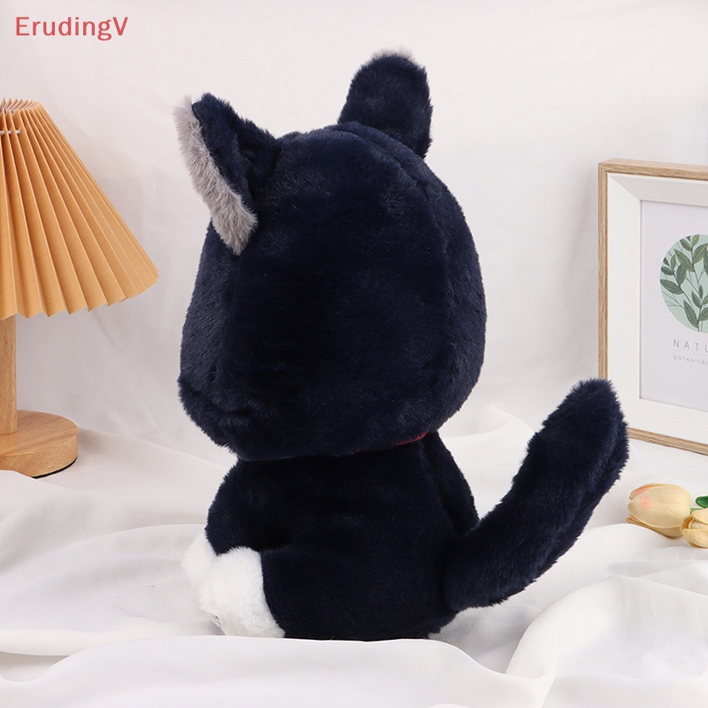 [ErudingV] Đồ Chơi Gậy Đánh Bắt Lông Mèo Đen 25 / 35cm